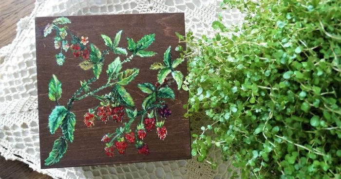 I Create Fairy Boxes Inspired By The Mystery Of Nature