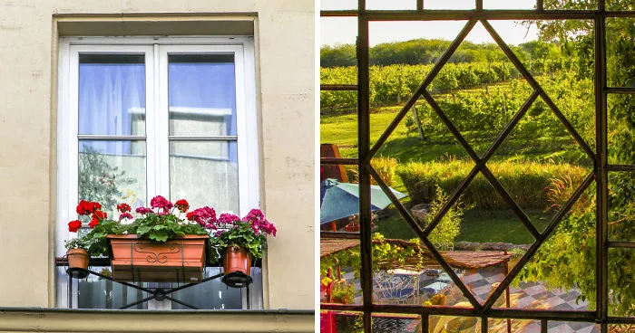 Flowery Windows