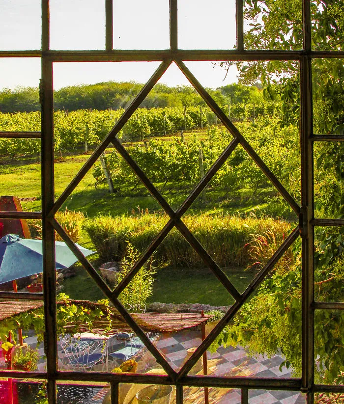 Flowery Windows