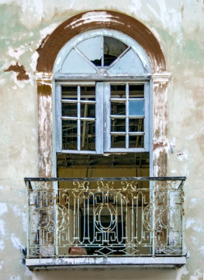 Flowery Windows