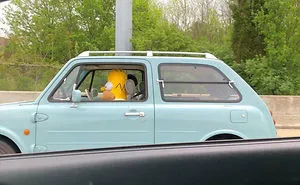 35 Times People Couldn’t Believe Their Eyes On The Road