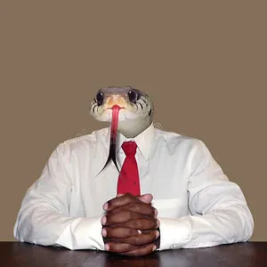 Nava