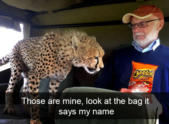 Animal Snaps