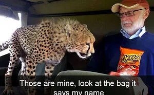 50 Funny Animal Snapchats That Will Leave You With The Biggest Smile