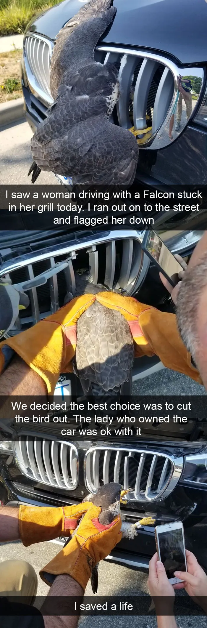 50 Funny Animal Snapchats That Will Leave You With The Biggest Smile