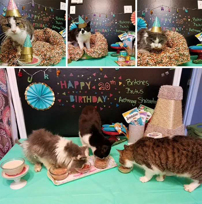 We Held A Surprise Birthday Party For Some Of Our Eldest