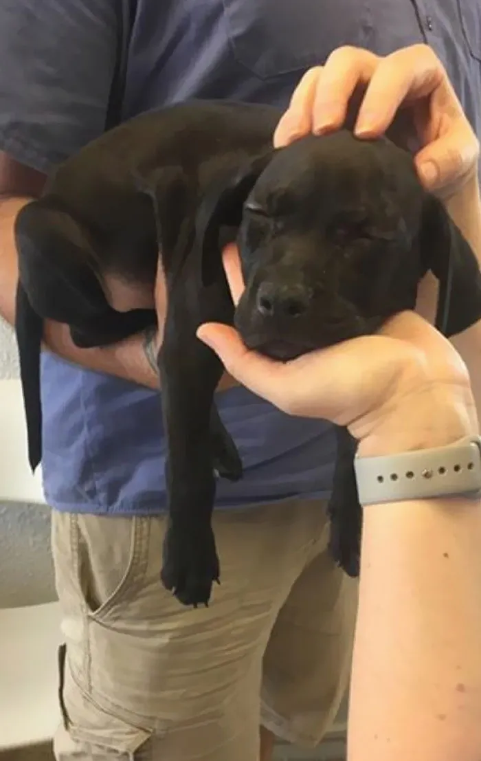 The Adoption Agency Said His Nickname Was 'Sleepy'. He's Living Up To It