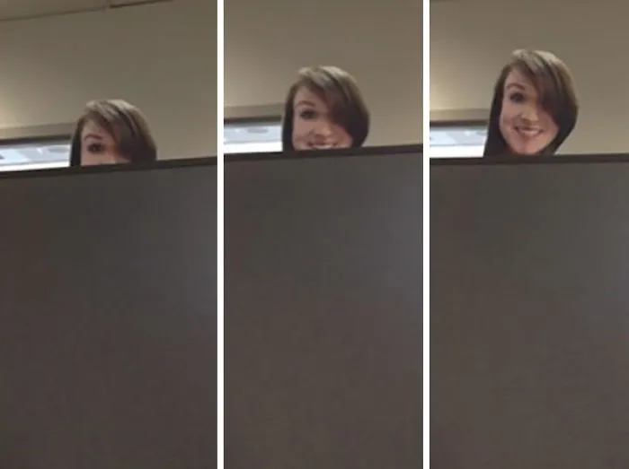 I'm Too Short To See Over The Cubicle Walls. So I Made A Cut Out Of My Face In A Stick And Use It When I Talk To My Neighbours