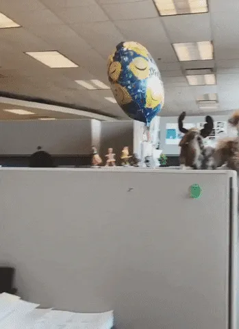 How To Keep Track Of Your Corgi In The Office If He Wanders Off