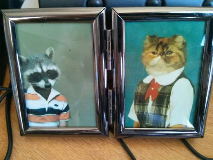 Es el último día de una compañera y me ha dicho que me puedo quedar sus fotos familiares