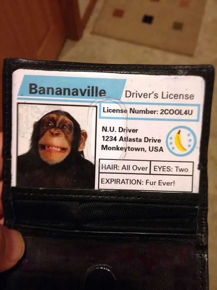Hoy me paró la policía en el coche y se me había olvidado que tenía esto encima de mi licencia real. Al policía no le hizo gracia