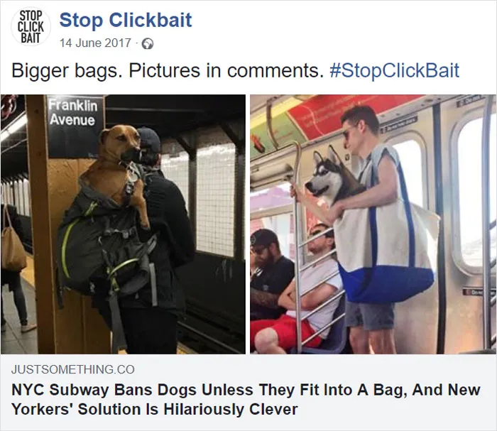 100 Times 'Stop Clickbait' Hilariously Summarized Clickbait Articles And Saved You A Click (New Pics)