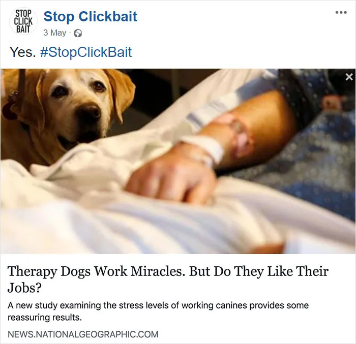 100 Times 'Stop Clickbait' Hilariously Summarized Clickbait Articles And Saved You A Click (New Pics)