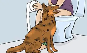 100 Times 'Stop Clickbait' Hilariously Summarized Clickbait Articles And Saved You A Click (New Pics)