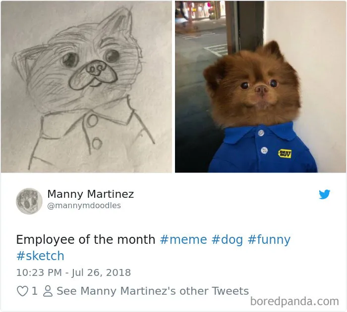 233 Funny Dog Tweets Every Dog Owner Should See ASAP