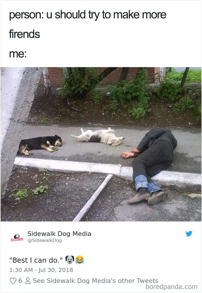 233 Funny Dog Tweets Every Dog Owner Should See ASAP