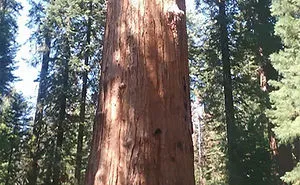 32 Things That Are Surprisingly Bigger Than You Probably Thought
