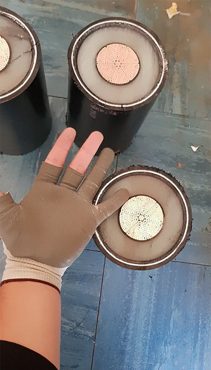 The Size Of This 400,000 Volt Underground Cable Compared To My Hand