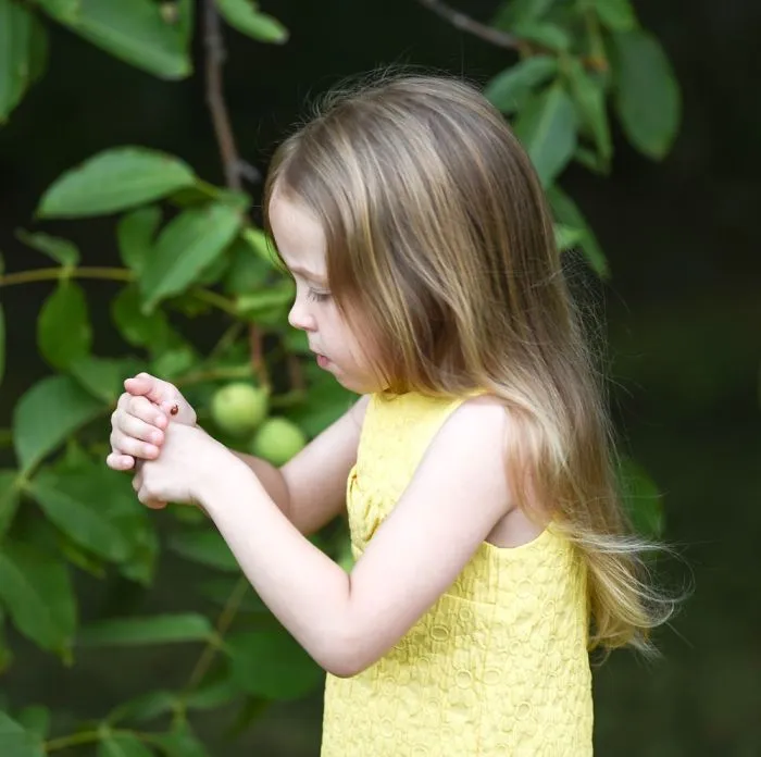 Exploring Nature