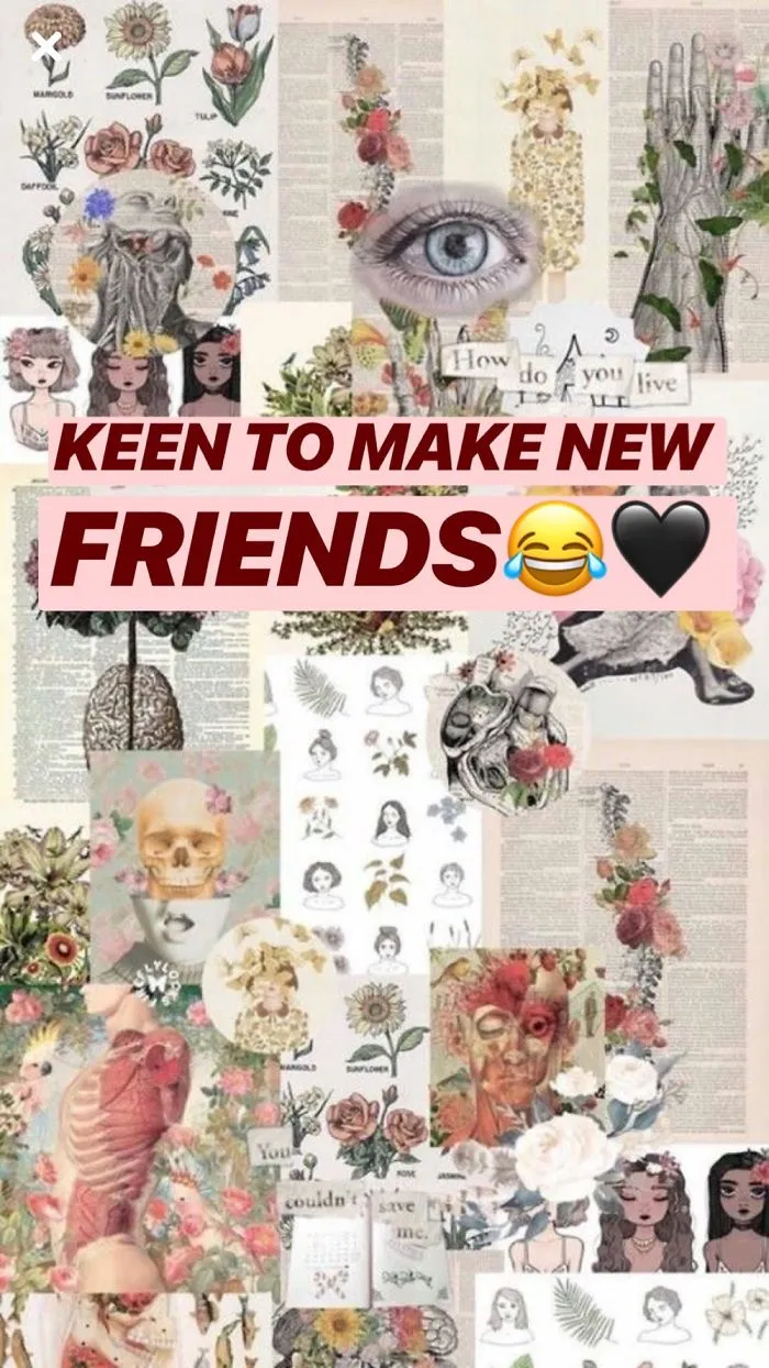 To Mah Fellow Pandas