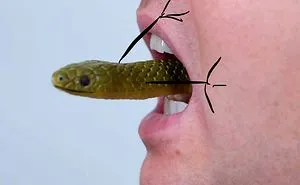 Drawing Doodle Hands On Snakes Is The Funniest Thing Ever (Add Your Pics!)