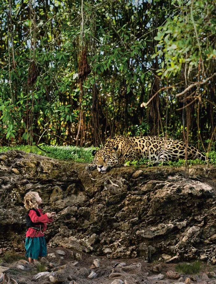 I Photograph Caribbean-Inspired Adventures For Children Book Illustrations