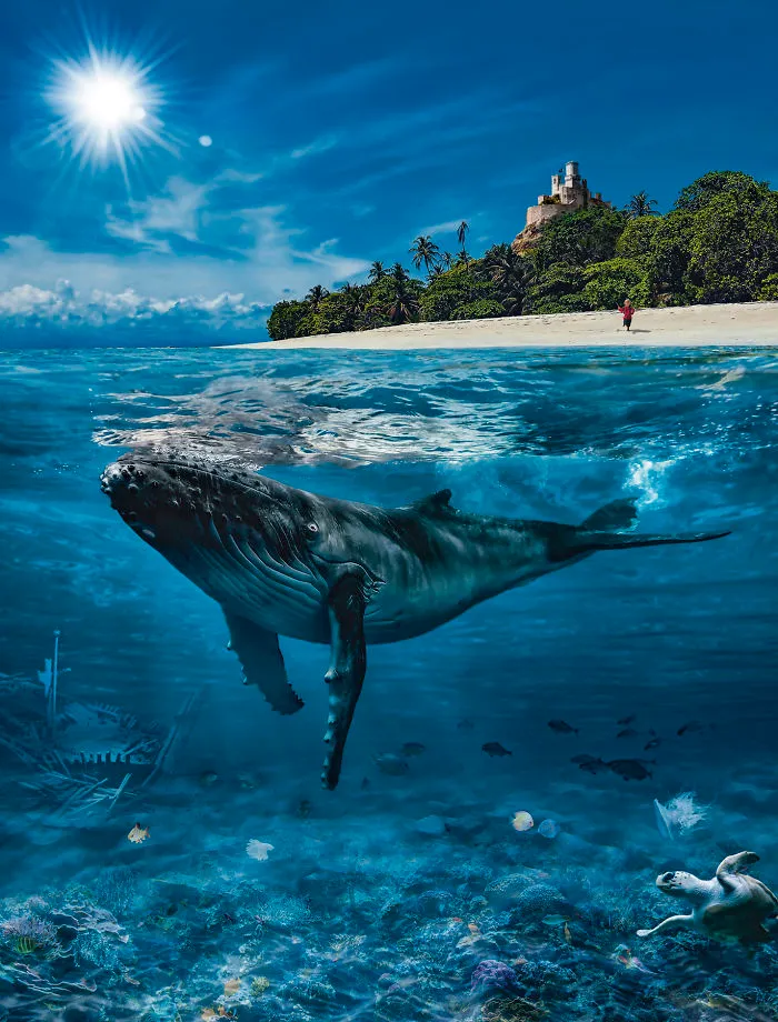 I Photograph Caribbean-Inspired Adventures For Children Book Illustrations