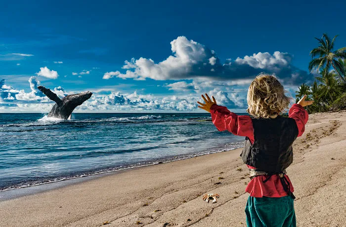 I Photograph Caribbean-Inspired Adventures For Children Book Illustrations
