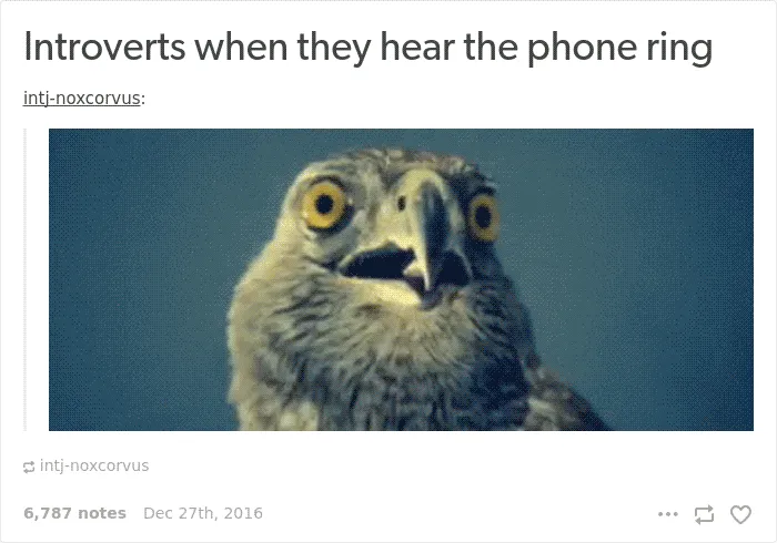 51 Times Tumblr Made Introverts Laugh Out Loud