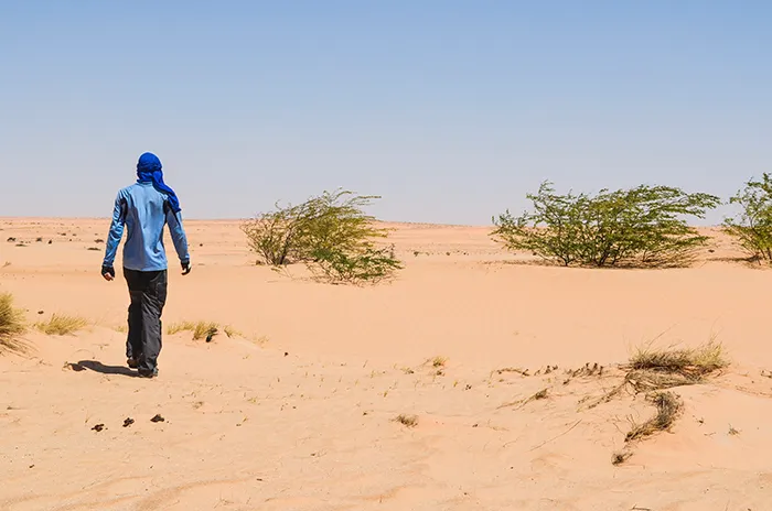 The Rule Of Three - Getting Lost In The Desert