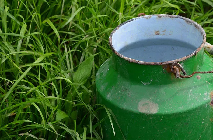 Kick The Bucket