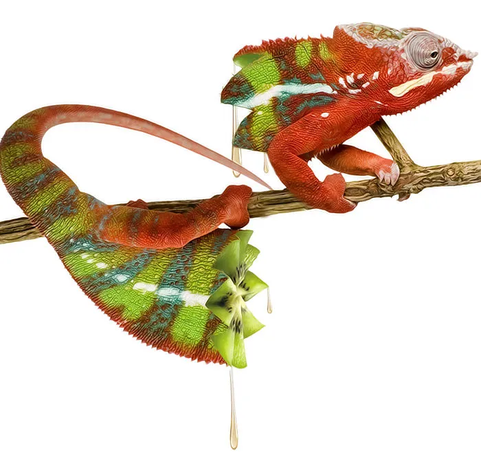 Photoshop Artists Combine Animals And Plants Into One Interesting Object