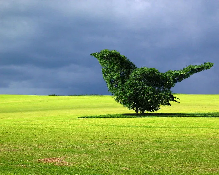 Photoshop Artists Combine Animals And Plants Into One Interesting Object