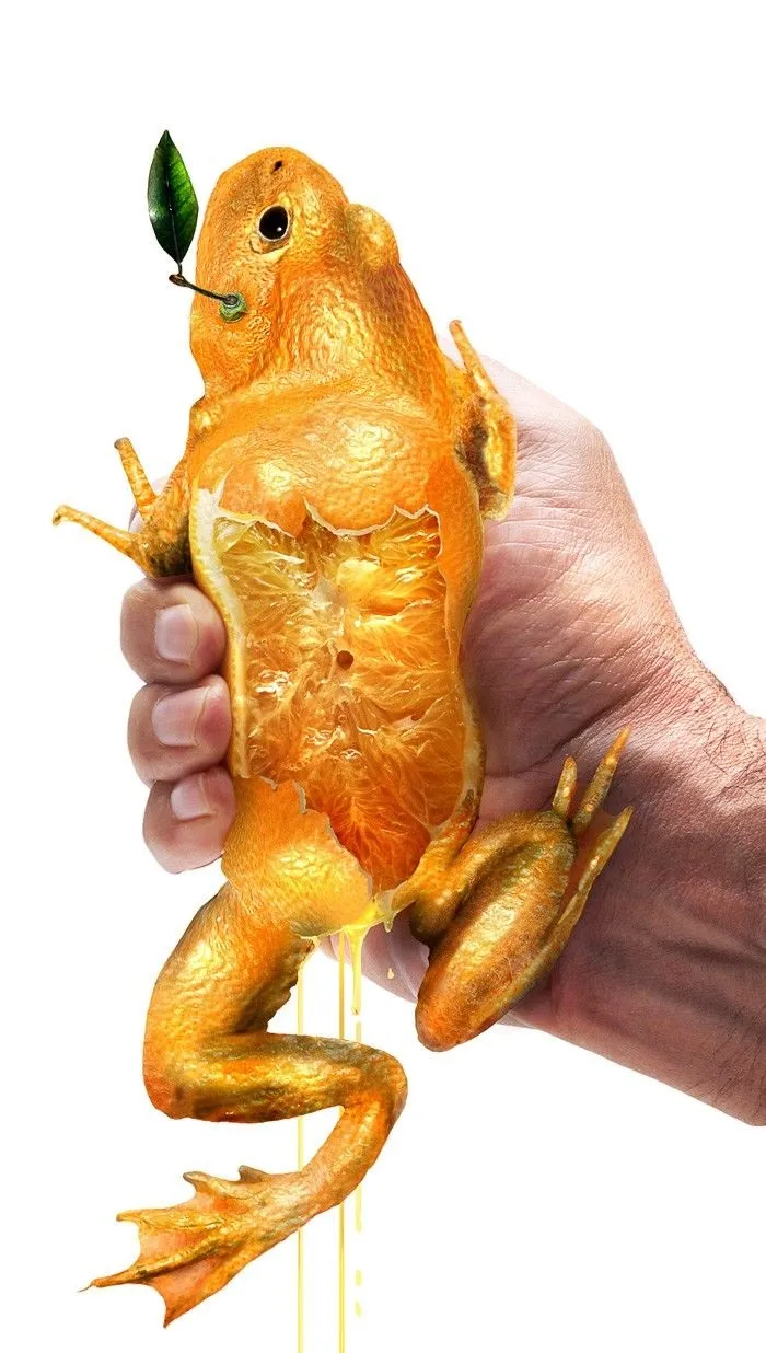 Photoshop Artists Combine Animals And Plants Into One Interesting Object