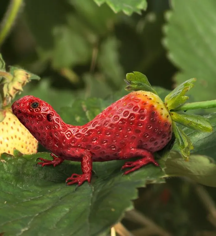 Photoshop Artists Combine Animals And Plants Into One Interesting Object