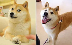 What People From Your Favorite Memes Look Like Now