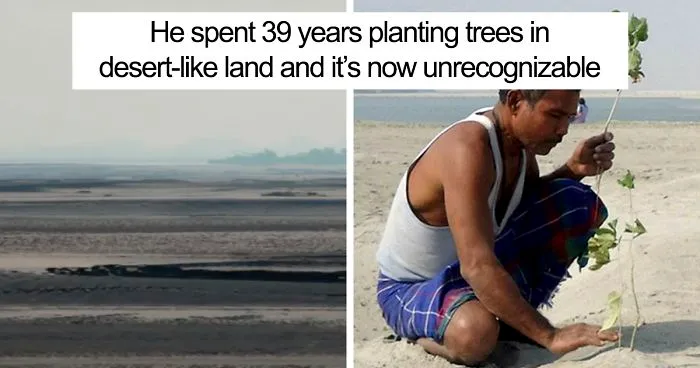 Almost 40 Years Ago A 16-Year-Old Started Planting A Tree Every Day On A Remote Island, And Now It's Unrecognizable