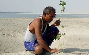 Almost 40 Years Ago A 16-Year-Old Started Planting A Tree Every Day On A Remote Island, And Now It's Unrecognizable