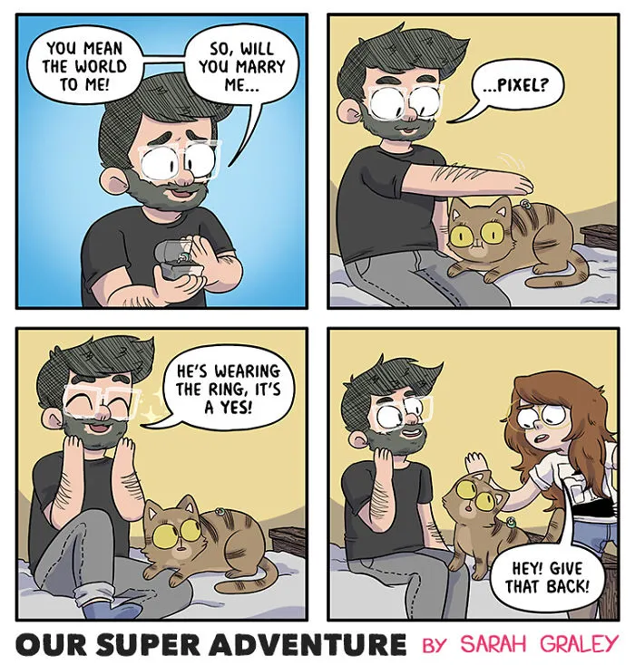 Artist Hilariously Illustrates Everyday Life With Her Fiancé And Their Four Cats, And We Can't Get Enough