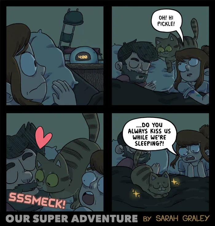 Artist Hilariously Illustrates Everyday Life With Her Fiancé And Their Four Cats, And We Can't Get Enough