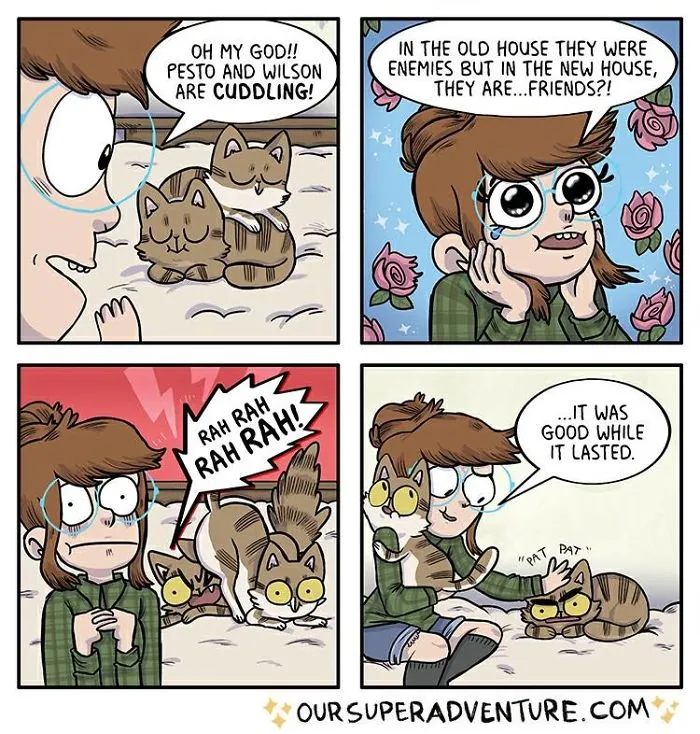 Artist Hilariously Illustrates Everyday Life With Her Fiancé And Their Four Cats, And We Can't Get Enough