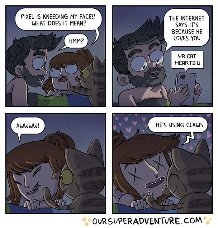Artist Hilariously Illustrates Everyday Life With Her Fiancé And Their Four Cats, And We Can't Get Enough