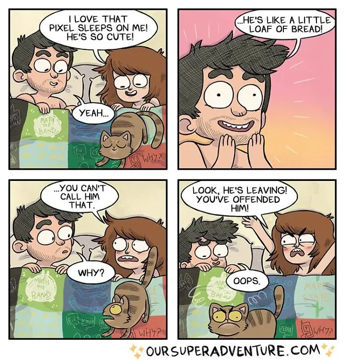 Artist Hilariously Illustrates Everyday Life With Her Fiancé And Their Four Cats, And We Can't Get Enough