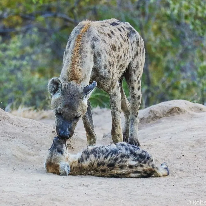 Steve Irwin's 14-Year-Old Son Is An Award-Winning Photographer And Here Are 50 Photos To Prove It