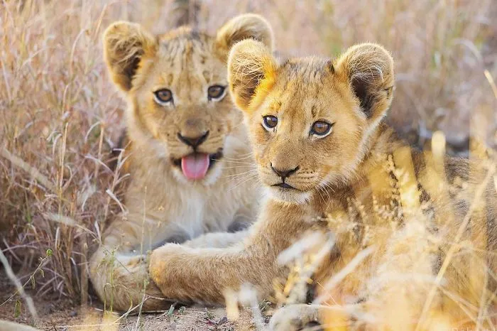 Steve Irwin's 14-Year-Old Son Is An Award-Winning Photographer And Here Are 50 Photos To Prove It