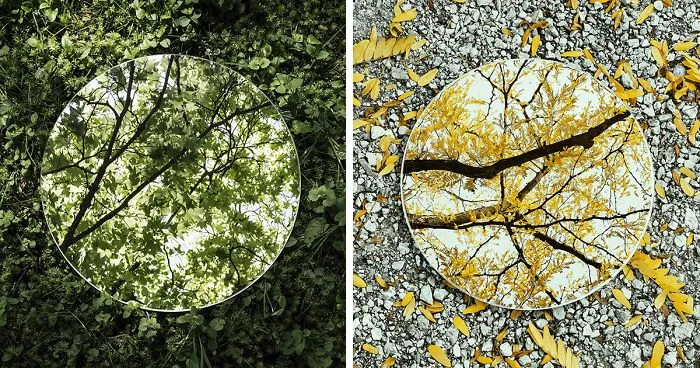 I Captured The Beauty Of Nature In Mirror Reflections