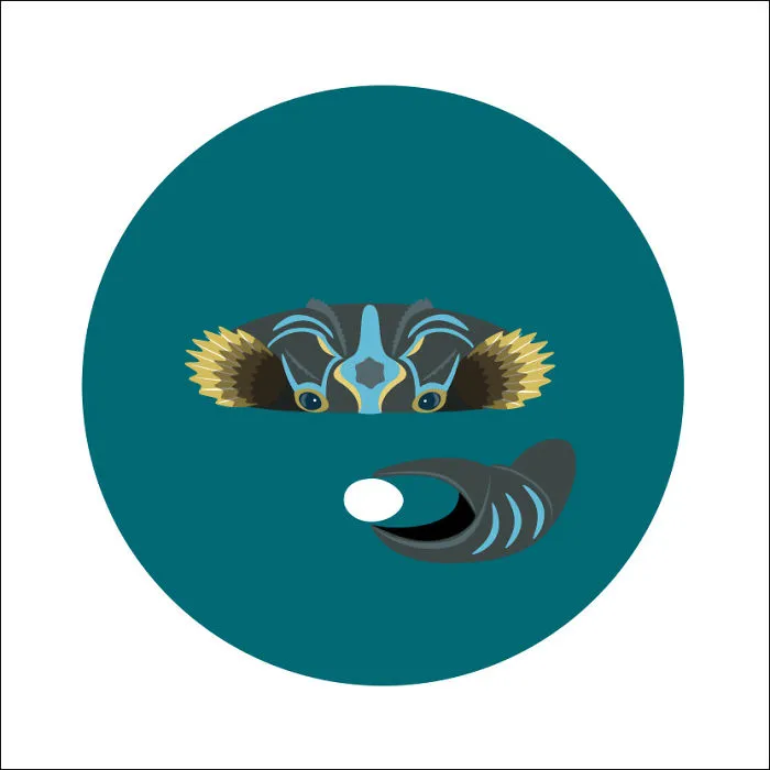 Amphibian Crab