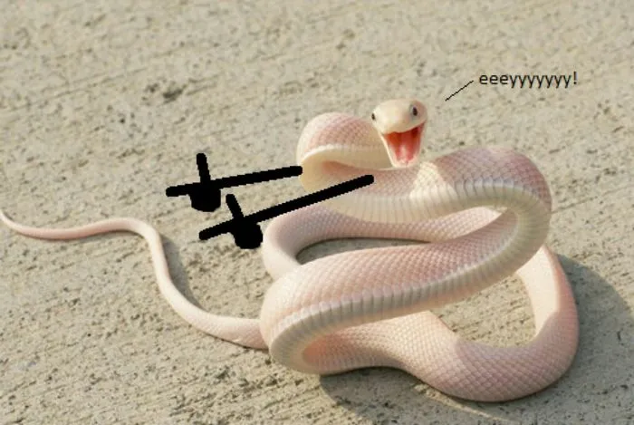 Hey, Gurl