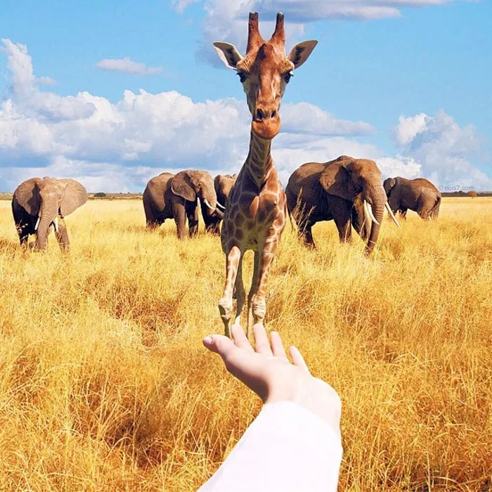This Award-Winning Photographer Is Taking The Internet By Storm With His Surreal Photo Manipulations