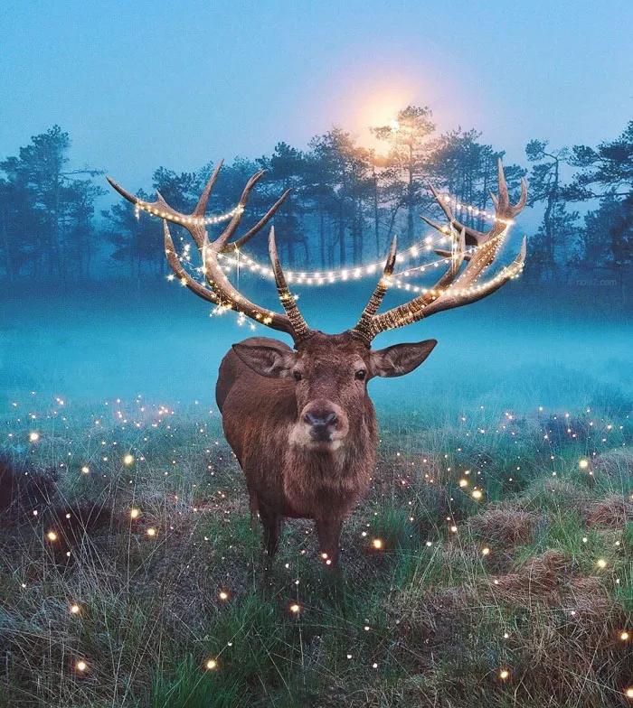 This Award-Winning Photographer Is Taking The Internet By Storm With His Surreal Photo Manipulations